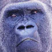 ...y un tercero medita con cierta incredulidad el momento en el que pueda lograr por fin un acta de diputado