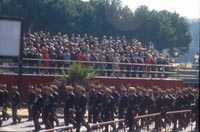 Lámina X: desfile militar