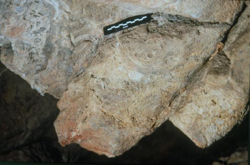 Jean Clottes, Chamanismo en las cuevas paleolíticas, imagen 6