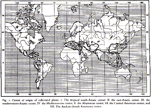 Nicolai Ivanovich Vavilov, El problema del or&iacute;gen de la agricultura mundial