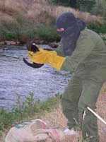 Terrorista encapuchadx emancipando un vis&oacute;n en Teruel