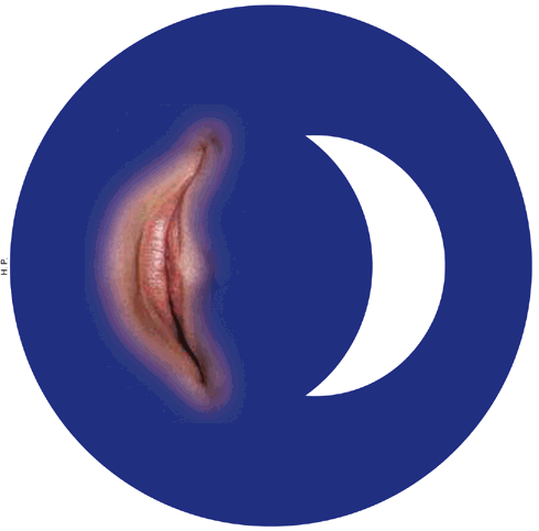 La sonrisa de Zapatero en la Alianza de las Civilizaciones, por H. P.