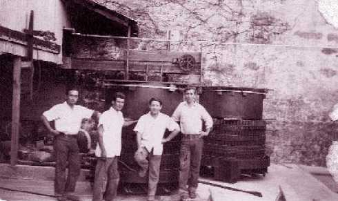 Los Migrantes del Mayab