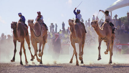 carrera de camellos con ni&ntilde;os jinetes en Dubai (foto de Daoud Hkan)
