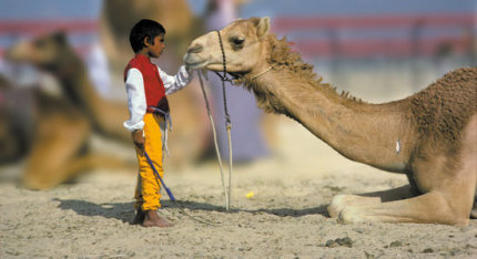 ni&ntilde;o jinete con su camello en una carrera en Dubai UAE (foto de Daoud Hkan)