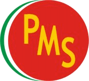 Partido Mexicano Socialista