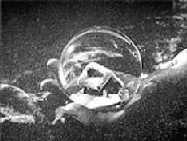 El sol del membrillo El sol del membrillo