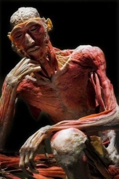 Pensador de von Hagens Pensador de von Hagens