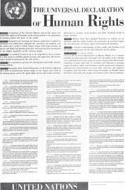 Declaraci&oacute;n Universal de los Derechos Humanos 1948