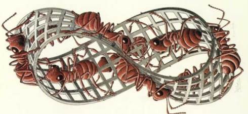 Grabado de Escher de hormigas caminando sobre una cinta de Moebius