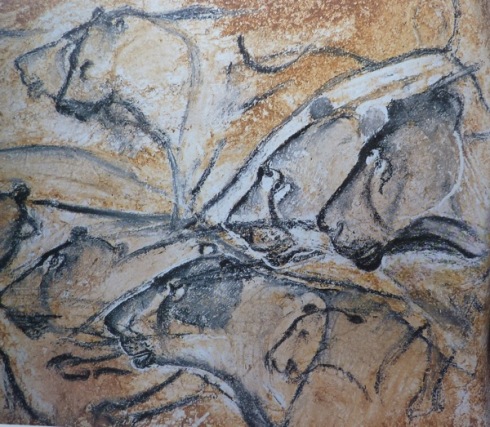 Chauvet: movimiento leones Chauvet: movimiento leones