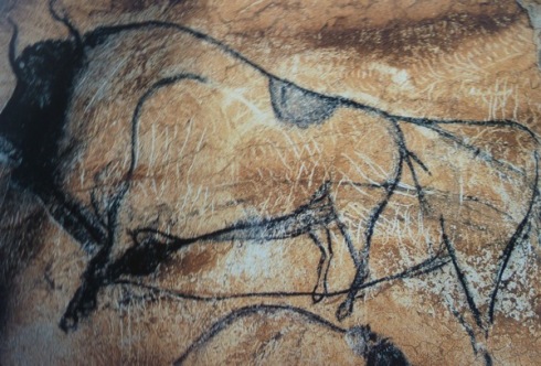 Chauvet: movimiento bisonte Chauvet: movimiento bisonte