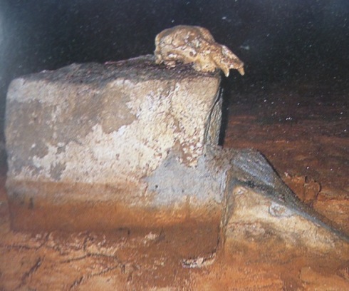 Chauvet: altar oso Chauvet: altar oso