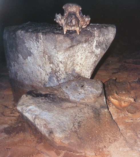 Chauvet: altar oso Chauvet: altar oso