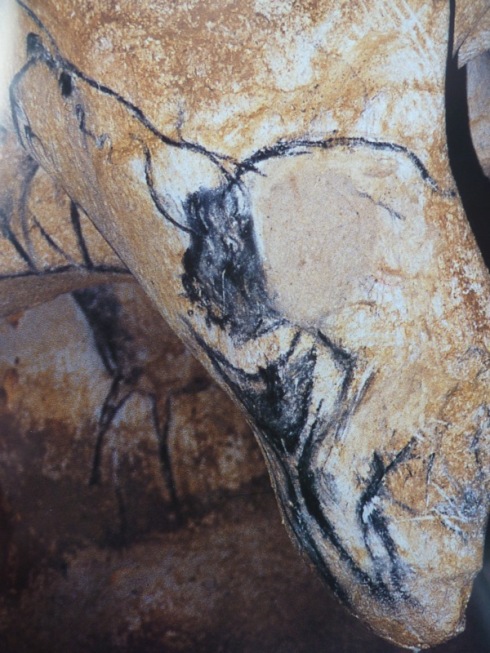 Chauvet: vulva Chauvet: vulva