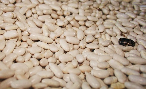 En todas partes se cuecen algarfs