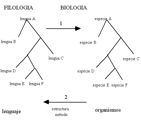 &Aacute;ngel L&oacute;pez Garc&iacute;a-Molins