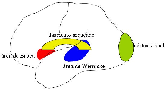 &Aacute;ngel L&oacute;pez Garc&iacute;a-Molins