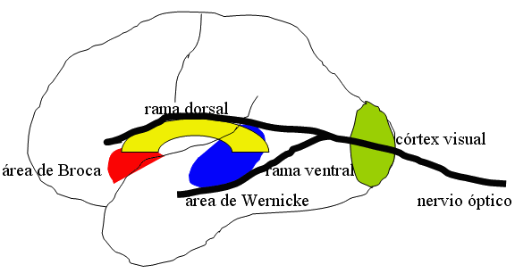 &Aacute;ngel L&oacute;pez Garc&iacute;a-Molins