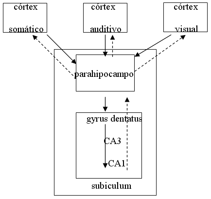 &Aacute;ngel L&oacute;pez Garc&iacute;a-Molins
