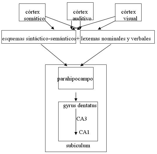&Aacute;ngel L&oacute;pez Garc&iacute;a-Molins