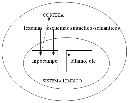 &Aacute;ngel L&oacute;pez Garc&iacute;a-Molins