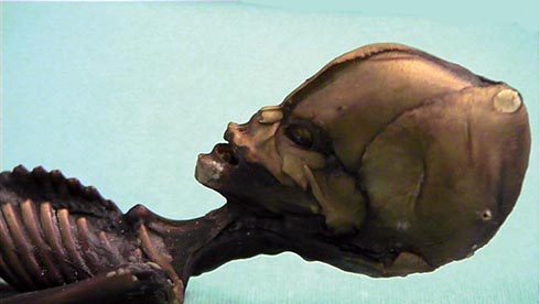 El humanoide de Atacama